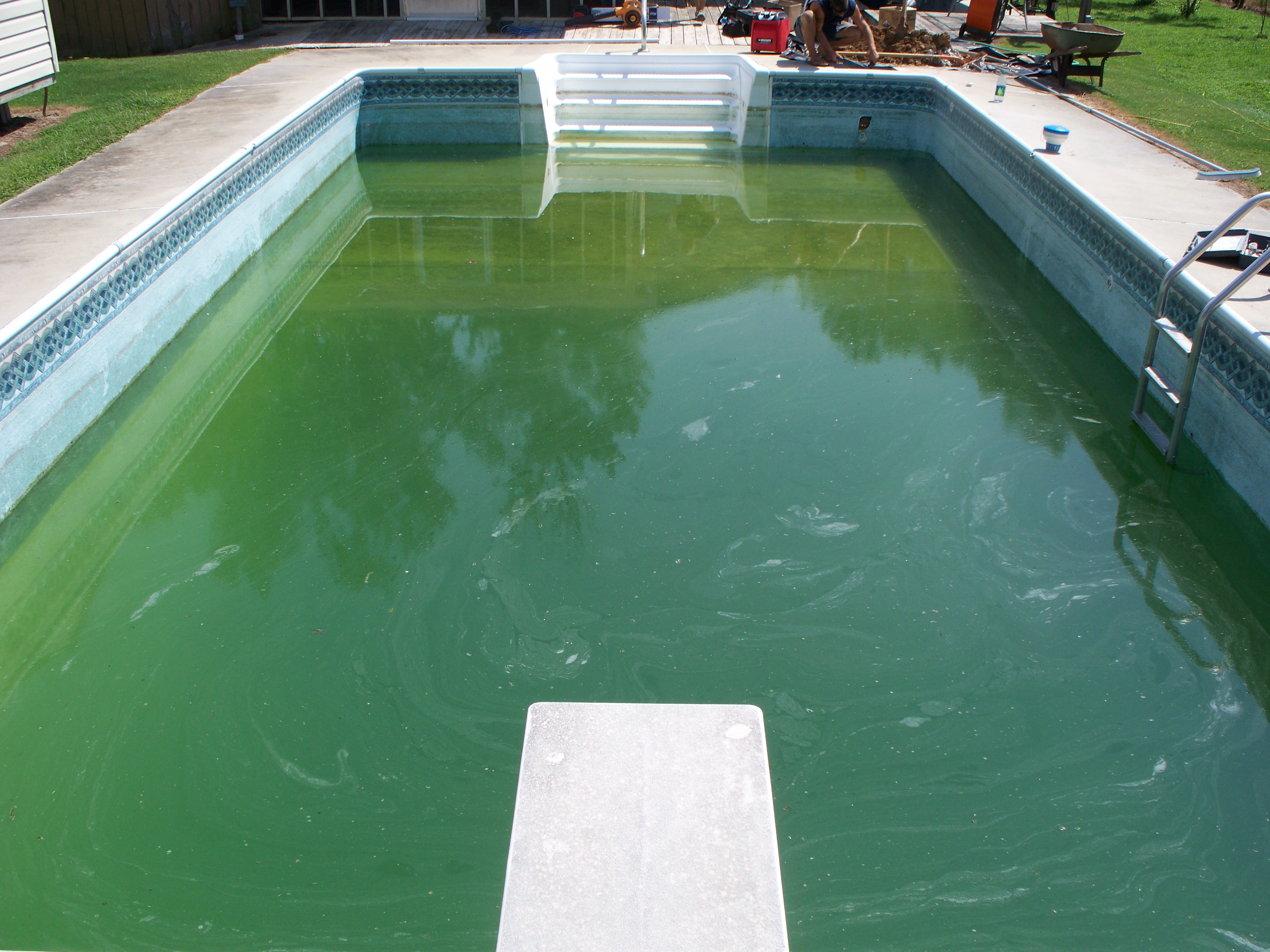 Before: Lumpkin pool with green algae-filled water